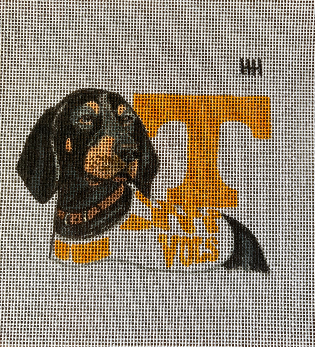Custom Tennessee Vols