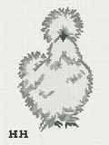 6x8 Silky Chicken Needlepoint Canvas