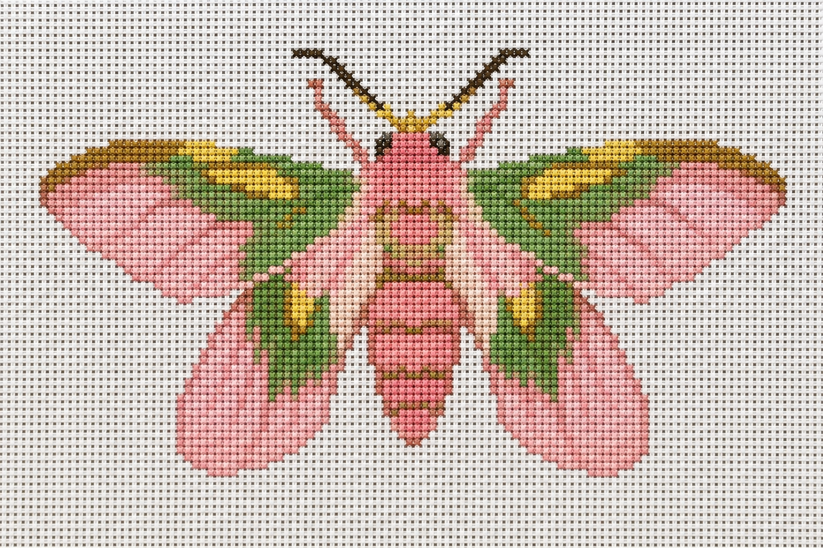 5x5 Pink Moth